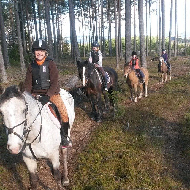Hønefoss Rideklubb på skogstur